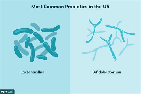 Probiotics: What They Are, Benefits & Side Effects .